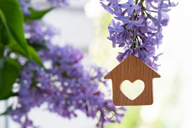 Similar image 21790553