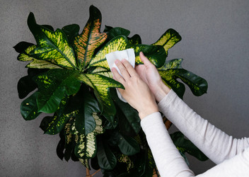 Similar image 21790556