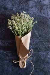 Similar image 21790557