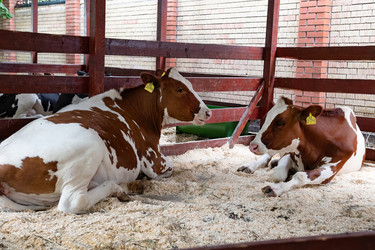 Similar image 21790560