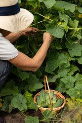 Similar image 21790561