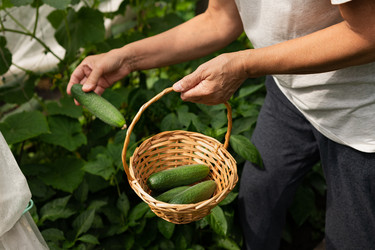 Similar image 21790564