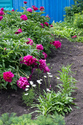 Similar image 21790565