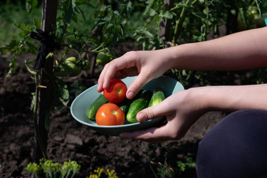 Similar image 21790566