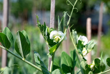 Similar image 21790567