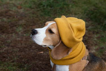 Similar image 21790571