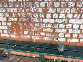 Similar image 21787329