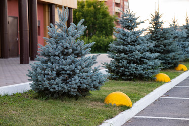 Similar image 21790576