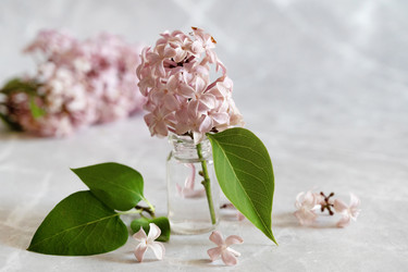 Similar image 21790583