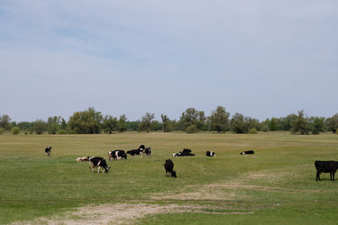 Similar image 21790588