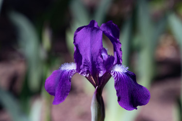 Similar image 21790590