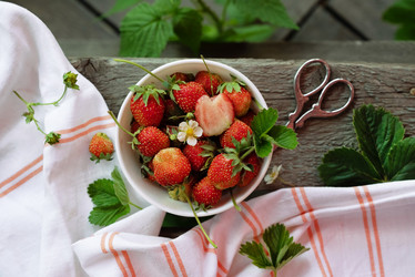 Similar image 21790660