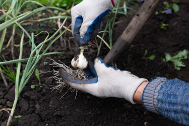 Similar image 21790665