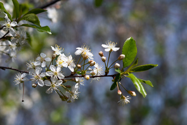 Similar image 21790666