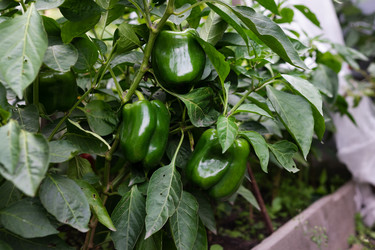 Similar image 21790674