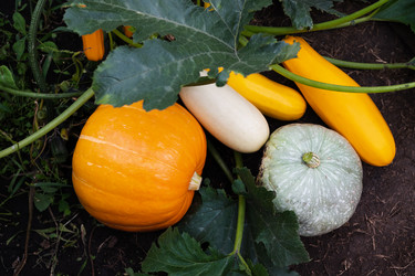 Similar image 21790679