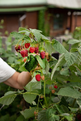 Similar image 21790681