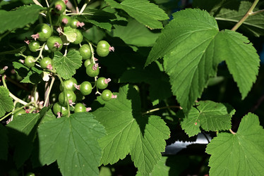 Similar image 21790687