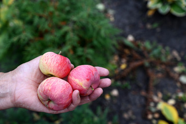 Similar image 21790690