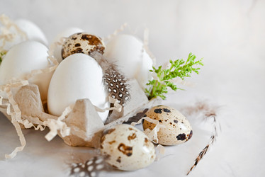 Similar image 21790692