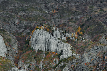 Similar image 21789944