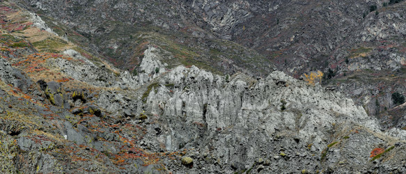 Similar image 21789949