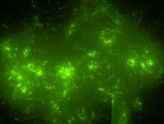 Similar image 21791853