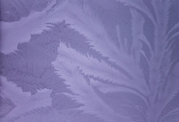 Similar image 21809688