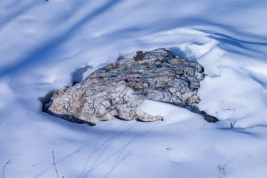 Similar image 21787255