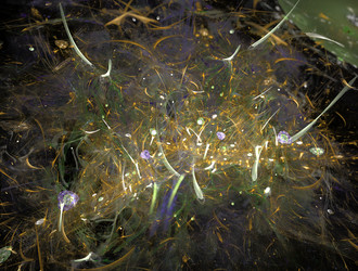 Similar image 21791615