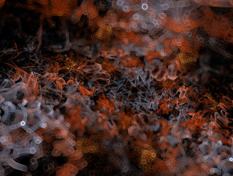 Similar image 21791634