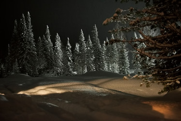 Similar image 21793362