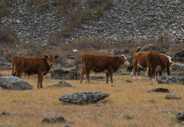 Similar image 21793051