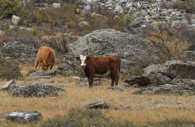 Similar image 21793052