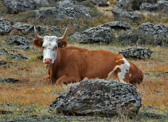 Similar image 21793055