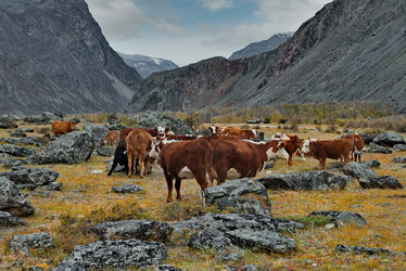 Similar image 21793056