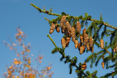 Similar image 21791060