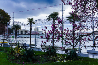 Similar image 21793370