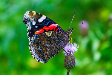 Similar image 21791086