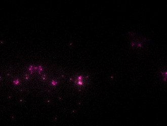 Similar image 21791417