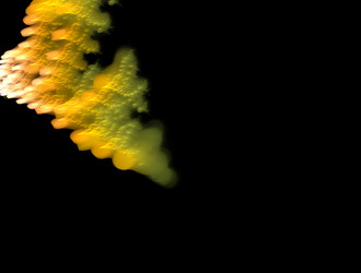 Similar image 21791419