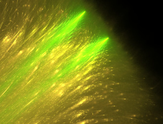 Similar image 21791871