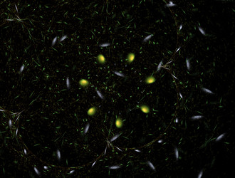 Similar image 21791895