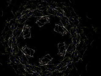 Similar image 21792158