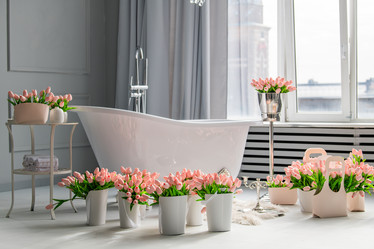 Similar image 21793912