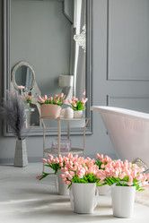 Similar image 21793913