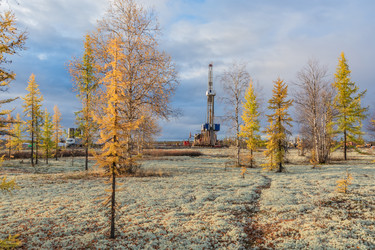 Similar image 21787095