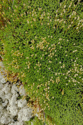 Similar image 21787082