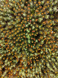 Similar image 21787083