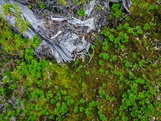 Similar image 21787089